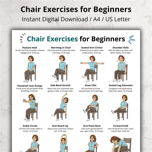 Chair Exercises for Beginners & Seniors, Seated Workout Chart Printable, Gentle Chair Fitness for Older Adults, No Equipment Exercise Poster - Etsy