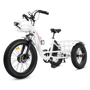 ECOTRIC 22.4AH Electric Tricycle Fat Tire for Adults with Basket, 750W 48V Battery, 3 Wheel Step-Thru E-trike White