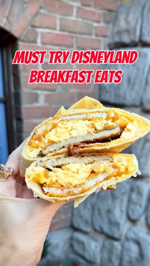 ☀️ New year, new Disneyland breakfasts to try! 😋 Red Rose Taverne is serving up some solid morning eats. The Breakfast Fantasyland Faire Fold is warm, filling, and perfect to grab before your first ride. And don’t skip the new Black Cherry Taverne Cold Brew if you love a hint of cherry. And, hash browns are finally on the menu too! ⏰ Breakfast is served from 9 am to 11 am. ⏳ Mobile order to save time! 👏 If you’re planning a 2026 Disneyland visit, this breakfast lineup is a must! ✨✨✨ #disneylan