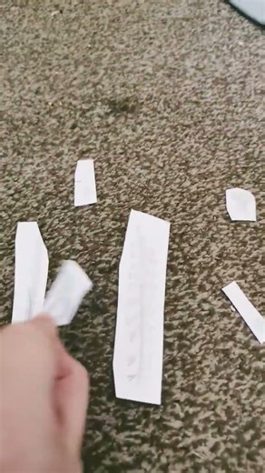 Rain world Speed run in a nutshell