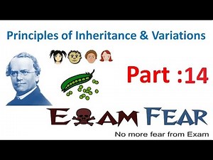 Codominance : ABO blood group - Principles of Inheritance and Evolution, Biology, Class 12 Video Lecture