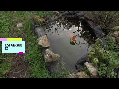 Todos nuestros Estanques uno por uno, Santuario de Fauna, ante la destrucción del curso fluvial