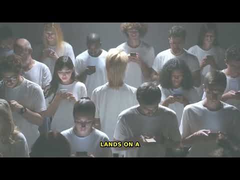 Sticky Animals: Gravity-Defying Wildlife Secrets Revealed! 🤯