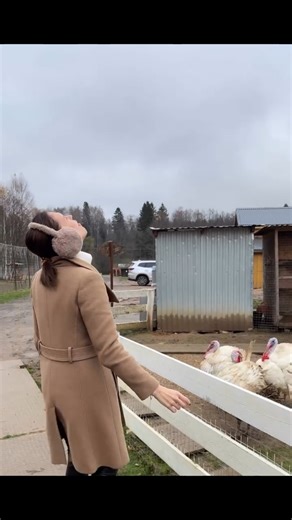 Videoclipuri postate de neprihănitu' (@ceo_coiu) cu original sound - neprihănitu'