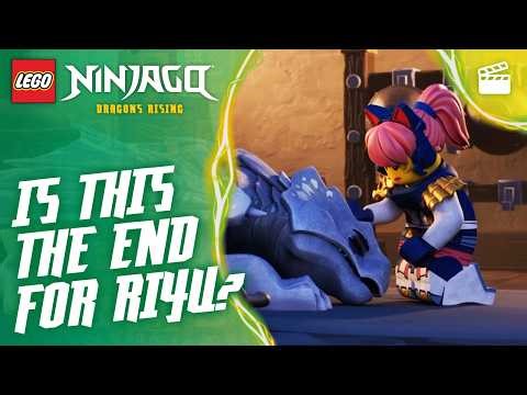 Riyu’s Heartbeat is Weak! 💔🐉 | Season 4 | Episode Clip | LEGO NINJAGO: Dragons Rising