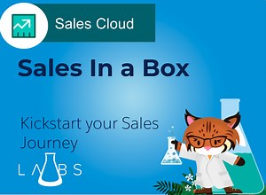 Salesforce Labs Sales Org in a Box – Kickstart Your B2B Sales with Pre-Built Workflows & Automation | Salesforce AppExchange