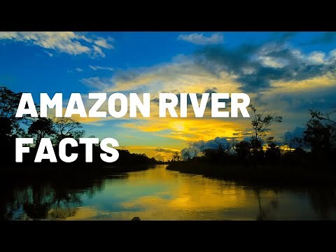 Amazing Amazon River Adventure for Kids | Exploring the Wildlife, Culture and More!