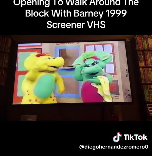 Opening To Walk Around The Block With Barney 1999 Screener VHS