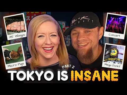 Tokyo Part 2: Wagyu, Micro Pigs, Concert VIP & Total Chaos 🇯🇵