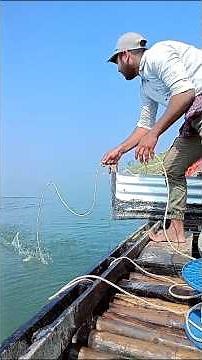 1000 pound tiger shark catching #fishing #fishingvideo #shark #catching
