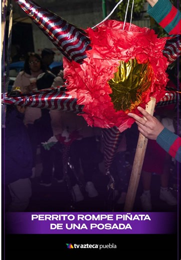 El perrito ladrador roba la piñata en la posada