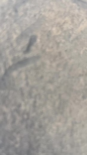 Cómo limpiar un motor de forma eficaz y segura