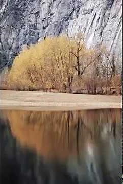 Amazing reflection of Nature Beautiful Reflections