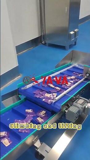 Modular Belt Conveyors: Fast Facts for Your Business#automation