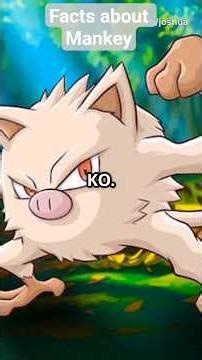 Mankey: The Furious Pig Monkey Pokémon!