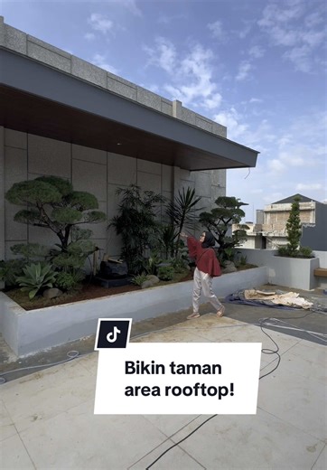 Tips Membangun Taman di Rooftop yang Sukses