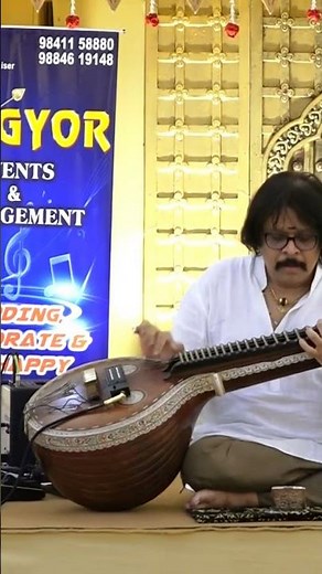 Pani vizhum malarvanam Veena instrumental Rajesh Vaidhya #ilayaraja #rajeshvaidhya #spbhits