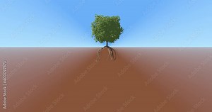 Tree growing while revealing underground roots growth process. Tree growth animation sequence.