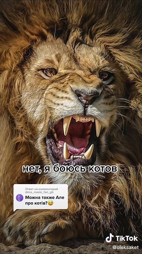 Ответ пользователю @dima_maslo_fan_gb