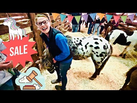 OFF TO THE LOCAL PONY SALE!