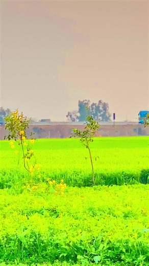 Block iPhone Zoom Video: How to Fix Common Issues