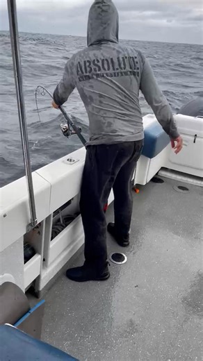 Richie owner Captain of Dream Catchers Charters showing how good the New FURUNO TZT-XL displays are with the Legendary DFF3D Multi Beam Sonar is, Richie is a Master with his Furuno Electronics ( No Better) like he’s dedication to fishing ! Let it be Sword Fishing Marlin Fishing and now the Yellowfin fishing on the south coast of NSW . Get on board guys as I’m sure you enjoy the experience! How Good Is Furuno next level products ❤️ To Book Richie link below & mobile phone . Ruchie Dream Catcher I