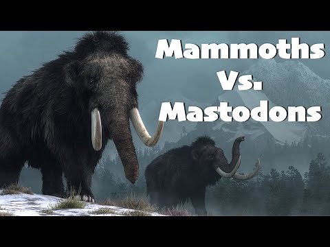 The Differences Between Mammoths And Mastodons
