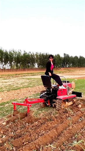 Mini Tractor Plowing Soil in the Field 🚜 Amazing Farming Skills #MiniTractor #Farming #Agriculture