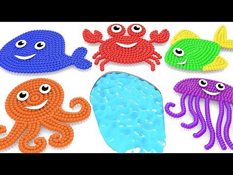 Learn Fish and Sea animals Shapes 3D for Children and Kids
