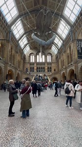 158K views · 8.9K reactions | Visiting Natural History Museum is a must when you’re in London | Touchdown London | Facebook