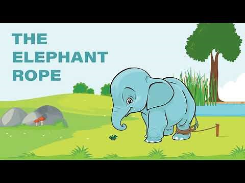 The Elephant Rope - inspirational story, motivational story. Belief