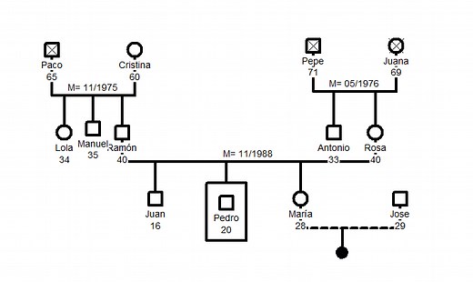 【 GENOGRAMA SOCIODINÁMICO 】¿Para qué sirve? Símbolos y más
