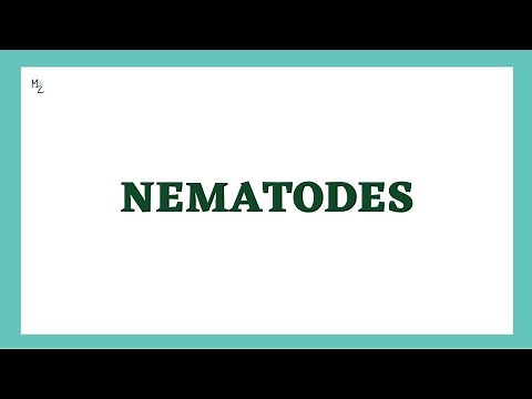 Nematodes Lecture | Roundworms or Nemathelminths | Parasitology | Microbiology