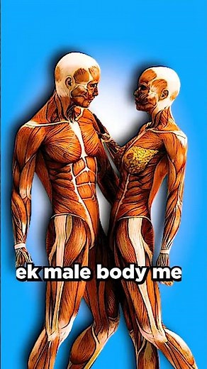 How many Cells in Human Body ?