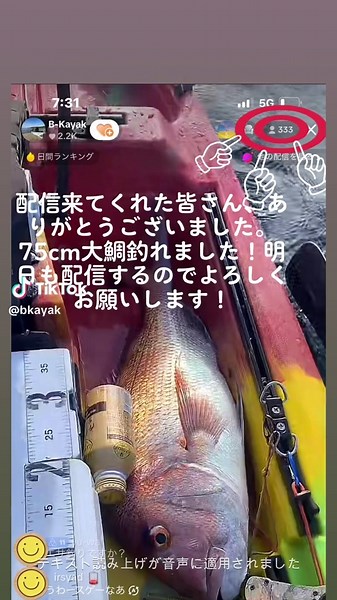 #四郎ボイス #カヤックフィッシング #kayakfishing #大鯛 #サップフィッシング 写真提供@🏮🐰うさぎ社長🐰🏮【公式】