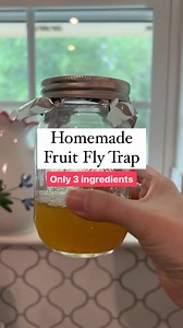 501K views · 1.7K reactions | Y’all asked for it!!  This is my go-to method for getting rid of pesky fruit flies in the kitchen. Easy, safe, and it works! All you need are 3 ingredients: apple cider vinegar, honey, and liquid dish soap. #homehacks #kitchenhacks | The Soccer Mom Blog - Positive Inspiration for Moms | Facebook