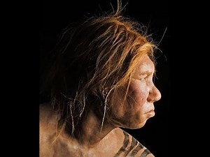 Archaic to Modern Homo