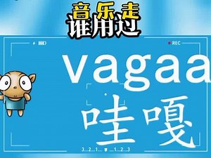 哇嘎vagaa还能使用吗