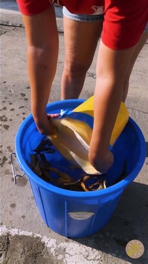 Dieser Eimer, der den Schmutz vom Wasser trennt 💦