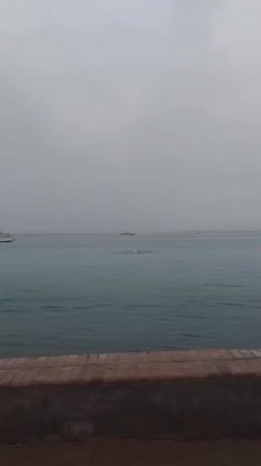 !ʜᴏʀʀɪʙʟᴇ ᴛʀᴀɢᴇᴅɪᴀ! ɢʀᴀʙᴀɴ ᴇʟ ᴍᴏᴍᴇɴᴛᴏ ᴇxᴀᴄᴛᴏ ᴅᴏɴᴅᴇ ᴜɴᴀ ᴘᴇʀsᴏɴᴀ ᴇs ᴅᴇᴠᴏʀᴀᴅᴏ ᴘᴏʀ ᴛɪʙᴜʀᴏɴᴇs. | Carlos Fuentes