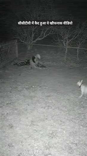 REAL Alien Caught on Camera? 😱 Dog Goes Crazy! #Scary #shorts #horror