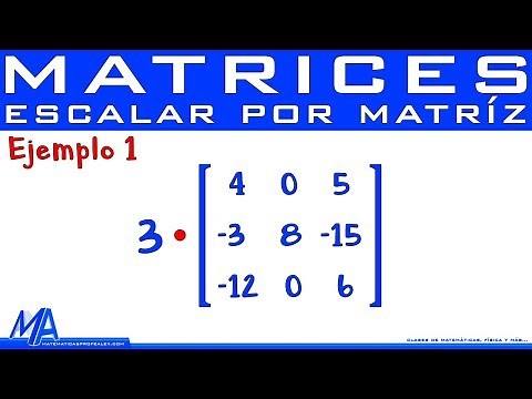Product of a matrix by a scalar or real number | Example 1