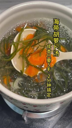 成本5毛的快手海带胡萝卜汤 清爽好喝的海带胡萝卜汤，做法简单、清淡解腻，家常快手又暖心～#海带汤 #家常汤 #清淡饮食 #快手汤 #低脂汤品