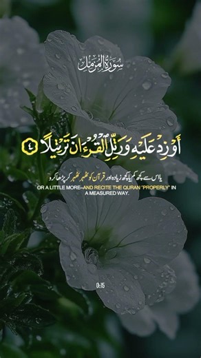 Part:34 Quran recitation video 💯 #islamicshorts #sukoon #islamic_content #islamicvideo @MrBeast