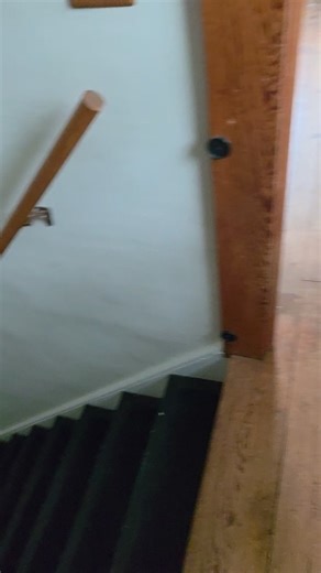 Asha Grace loves the warm clean blankets #dogs | Teddi Mae's