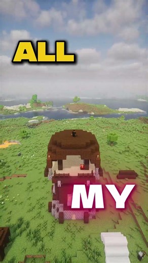 The Most NICHE Mansion Seed #minecraftseeds