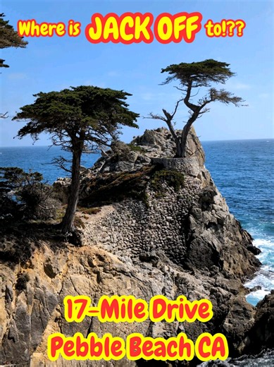 17-Mile Drive Monterey: Self-Driving Tour Guide & Best Stops