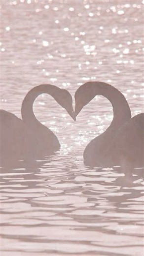 •𝔂𝓾𝓲 on Instagram: "✦ 𓆩 𝒮𝓊𝒶 수아 𓆪 ⋆✩ Cr-IkuFu on tt ⧉ moonlight & memory ⸝⸝ soft steps between stars #suaalienstage #alnst #alnstalienstage #수아 #alien #human ivantill #ivti #이반틸 #이반 #ivanalienstage #tillalienstage #alnstivan #alnsttill #alienstagetill lukaalienstage #hyunaluka #mizisua #alnstluka vivinos #alienstagevivinos #alienstagefanart fyp #foryou #foryourpage #relate #relatables #anime #qmeng ⋆⁺₊⋆ ☾ ⋆⁺₊⋆ 𝘴𝘩𝘦 𝘥𝘳𝘪𝘧𝘵𝘴. 𝘴𝘩𝘦 𝘥𝘳𝘦𝘢𝘮𝘴. 𝘴𝘩𝘦 𝘥𝘢𝘯𝘤𝘦𝘴"