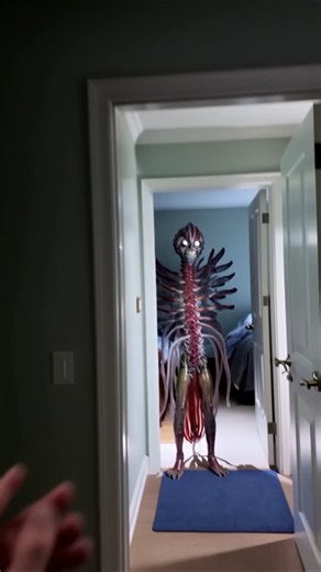 Cursed Content on Instagram: "Get out! 😡 #cryptidsandcreatures #cryptidsighting #cryptidtiktok #creepytok #caughtoncamera #foundfootage #horrortok #creepyaf #cryptidencounters #creepyvideos #homeinvasiontiktok #intruder #monster #creature #unsettling #nope #cursedreels #cursedinstagram #creepyvibes #creepygram #horrorgram #cryptidgram"