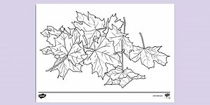 Printable Colouring Page for Fall